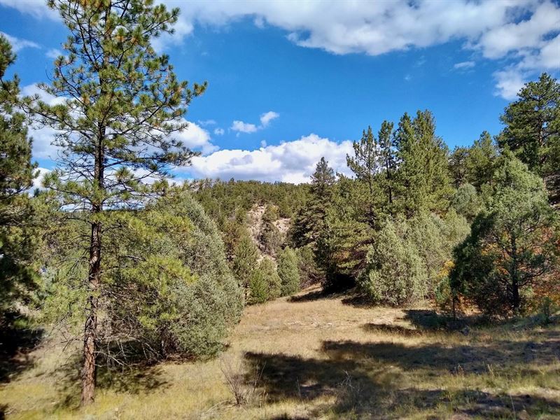 Alden Ln and Copper Gulch : Texas Creek : Fremont County : Colorado