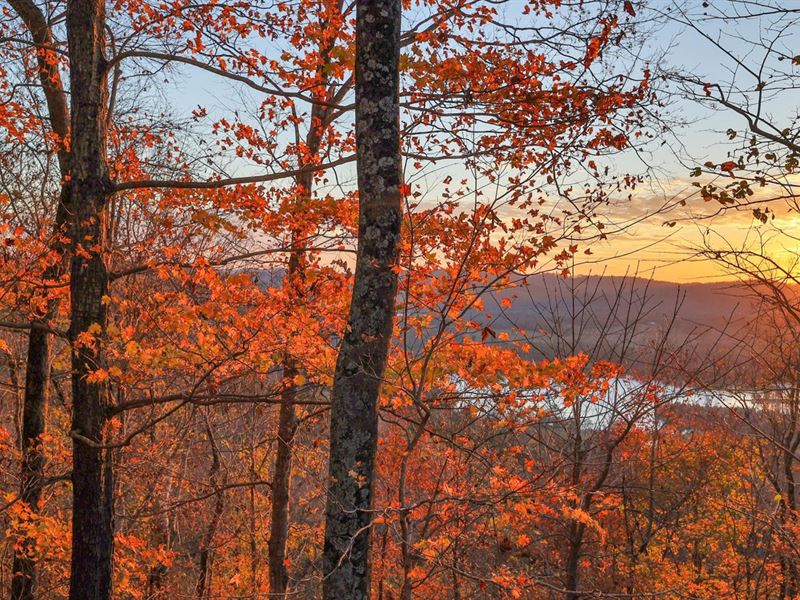 115.56 Surveyed Acres of Prime Hunt : Gainesboro : Jackson County : Tennessee