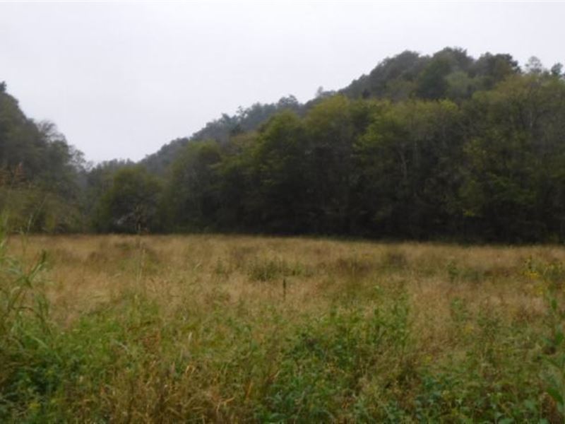 252 Acres, Pond, Creek, Springs : Whitleyville : Jackson County : Tennessee