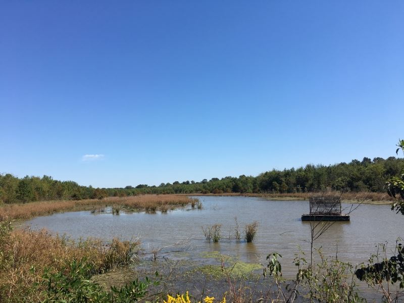 Deer & Duck Hunting Paradise : Waterproof : Tensas Parish : Louisiana