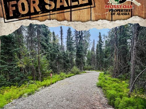 Willow Land With Driveway on Railro : Willow : Matanuska-Susitna Borough : Alaska