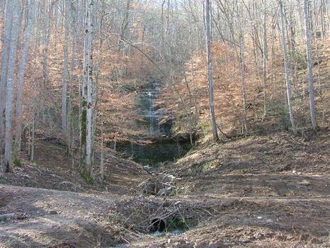 224 Ac of Recreational Heaven : Estill Fork : Jackson County : Alabama