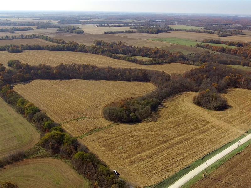 135 Acres Pike Rd 48 Pike County : Curryville : Pike County : Missouri