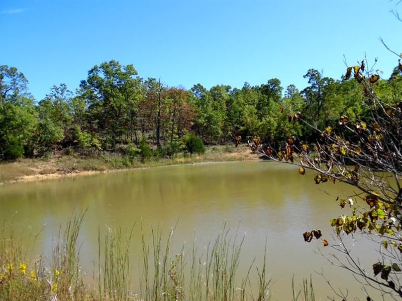 22 Acres, Large Pond, Shop/Garage Land for Sale by Owner in Cass