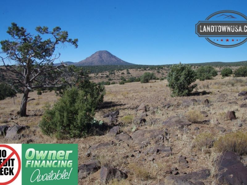 40.26 Acres with Amazing Views, Sw : Ash Fork : Yavapai County : Arizona