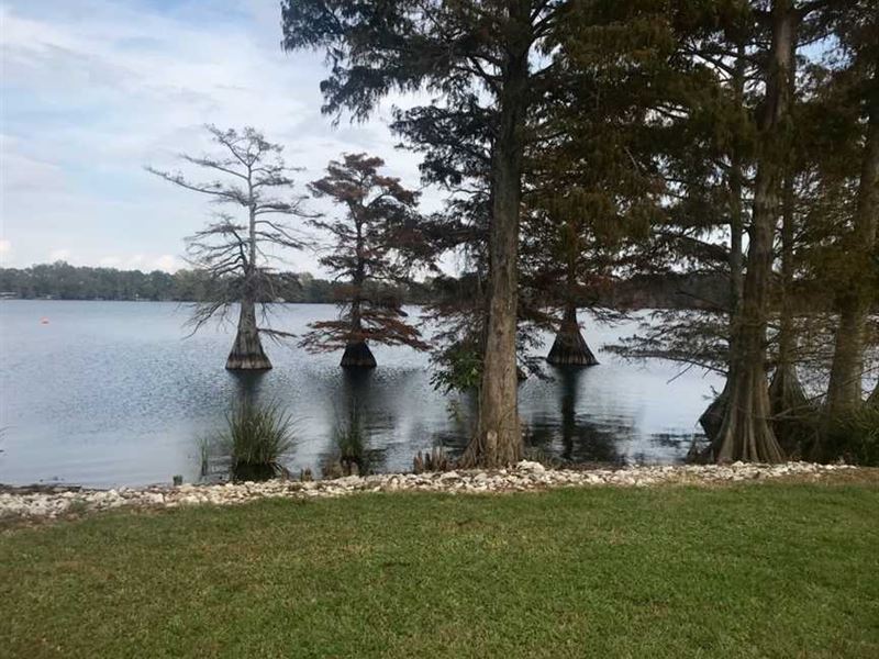 3 Acre, Beautiful, Residential : Saint Joseph : Tensas Parish : Louisiana