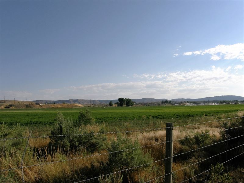 The Strain Farm : Rangely : Rio Blanco County : Colorado