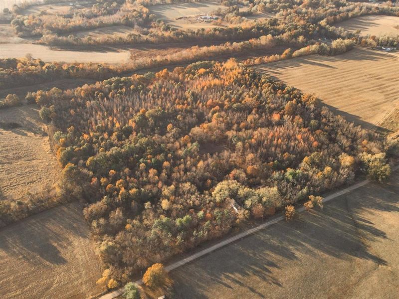 38 Ac with 2-Story Home : Bloomfield : Stoddard County : Missouri