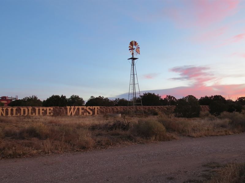Wildlife Park : Edgewood : Santa Fe County : New Mexico