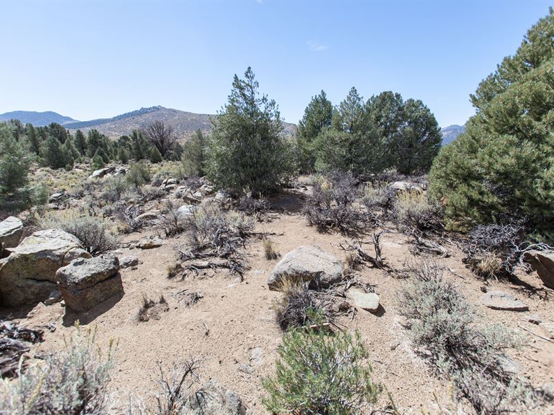 Mountain Retreat in Kennedy Meadows : Inyokern : Tulare County : California