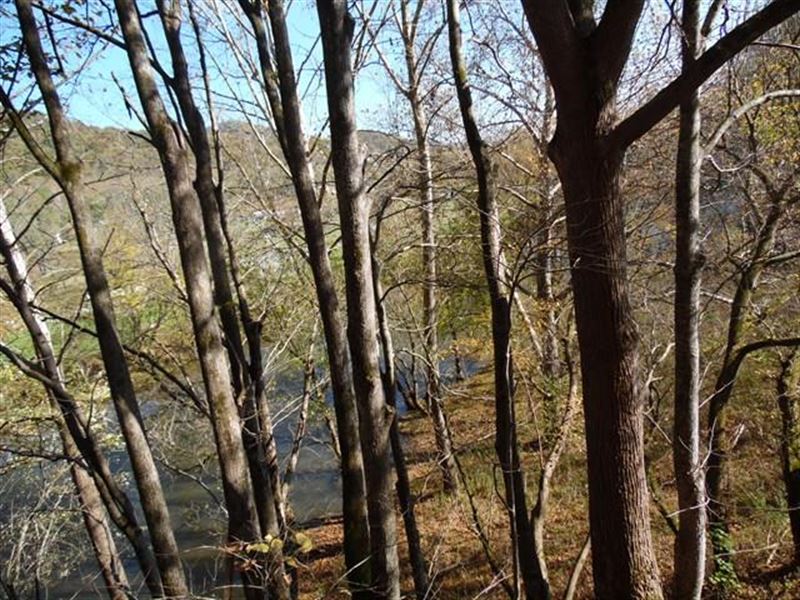 Acreage with River Frontage : Saltville : Smyth County : Virginia