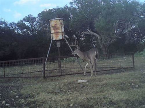 77 Acres Nw Of Rocksprings, Exotics : Rocksprings : Edwards County : Texas