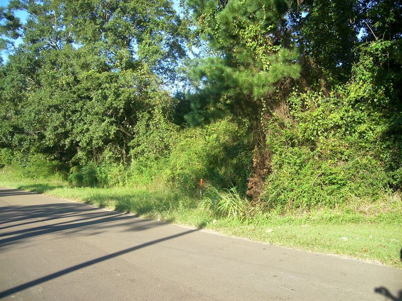 Lot 5 Is 3.00 Acres M/L : Centreville : Wilkinson County : Mississippi