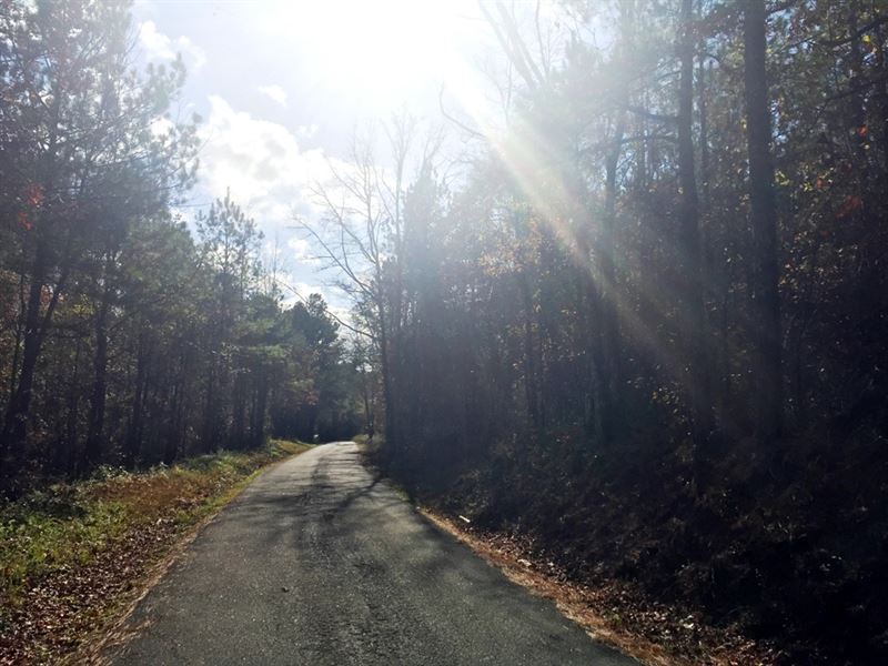 Ward Mountain Nw Tract : Adairsville : Bartow County : Georgia