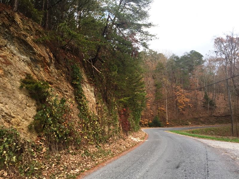Marlowe Branch Tract NE : Ranger : Gordon County : Georgia