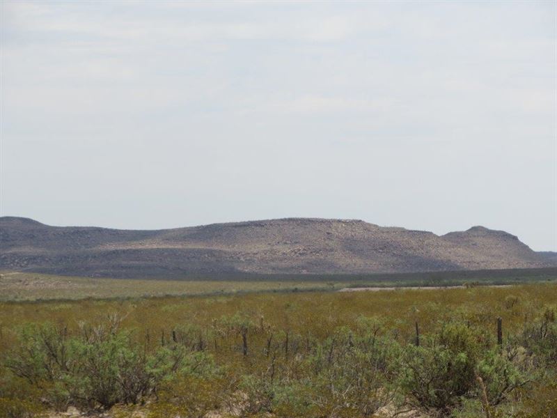 20 Ac Foreclosure Only $144/Mo : Sierra Blanca : Hudspeth County : Texas