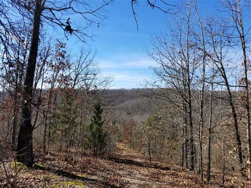 40 Acres with Great Views in Norwo : Norwood : Douglas County : Missouri