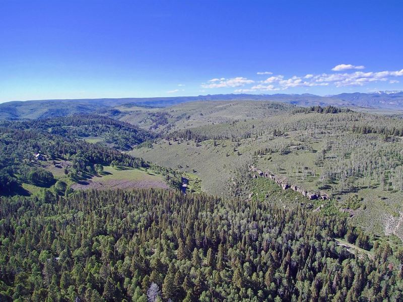 Wooded Mountain Lot With Utilities Land for Sale by Owner in Cimarron