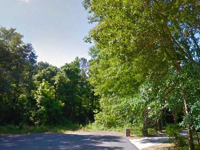 Beautiful Treed Lot in Tallahassee : Tallahassee : Leon County : Florida