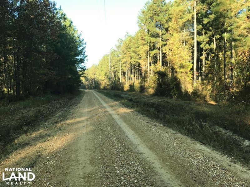 Bodka Valley Road Timber Investment : Scooba : Kemper County : Mississippi
