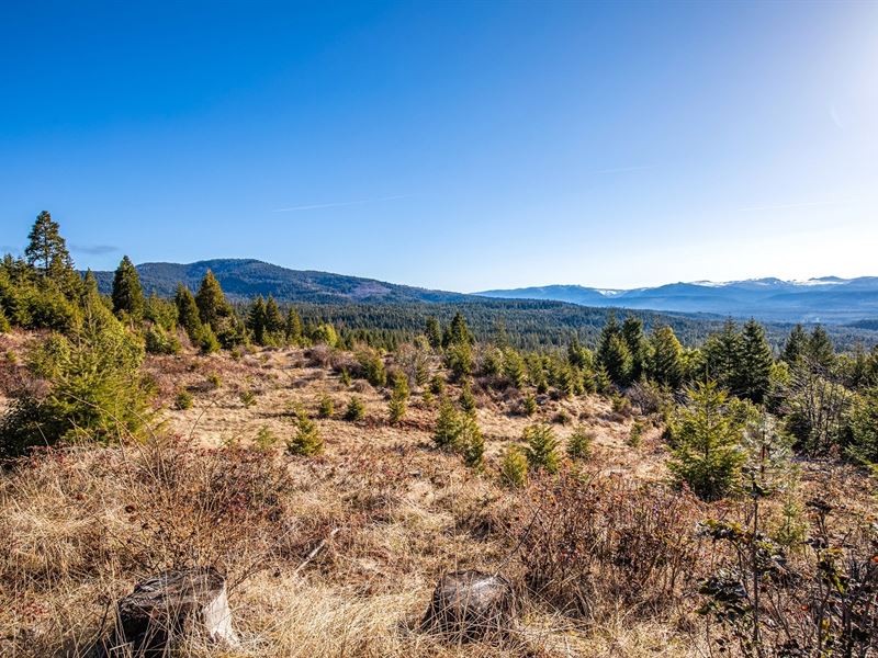 Hole in The Ground : Prospect : Jackson County : Oregon