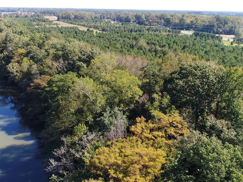 Roanoke River Tract : Jamesville : Martin County : North Carolina