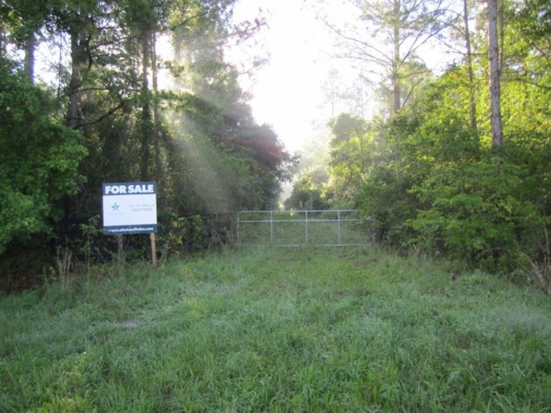 Hague 120, 127 Acres Alachua, FL : Gainesville : Alachua County : Florida