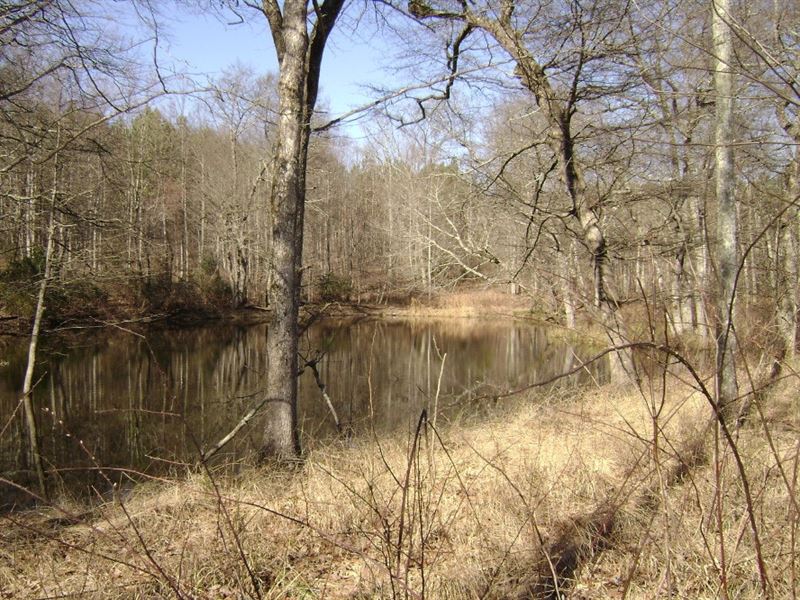Burned Stand Ridge : Sherwood : Franklin County : Tennessee