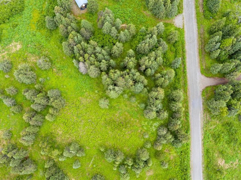 L4 B4 Conrad Street : Ninilchik : Kenai Peninsula Borough : Alaska