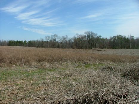 90 Acres in Pisgah, Alabama : Pisgah : Jackson County : Alabama