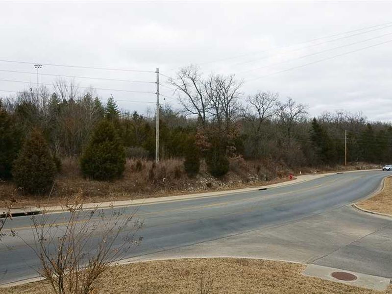 8.7 Ac, Developmental Tract Heart : Branson : Taney County : Missouri