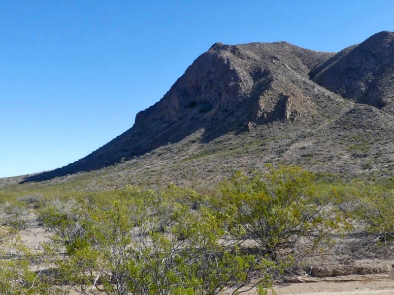 40 Acres with Lots Of Elevation : Terlingua : Brewster County : Texas