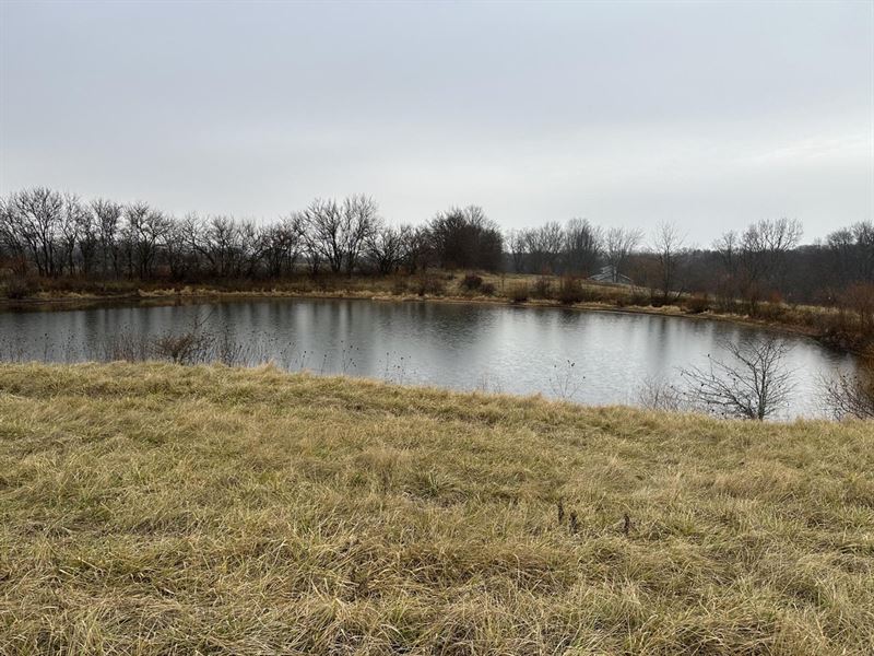 Land for Sale, 10.079 Acres, Pastu : Muncie : Henry County : Indiana