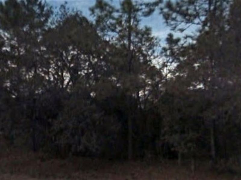 Putnam County, Fl $18,500 Neg : Satsuma : Putnam County : Florida