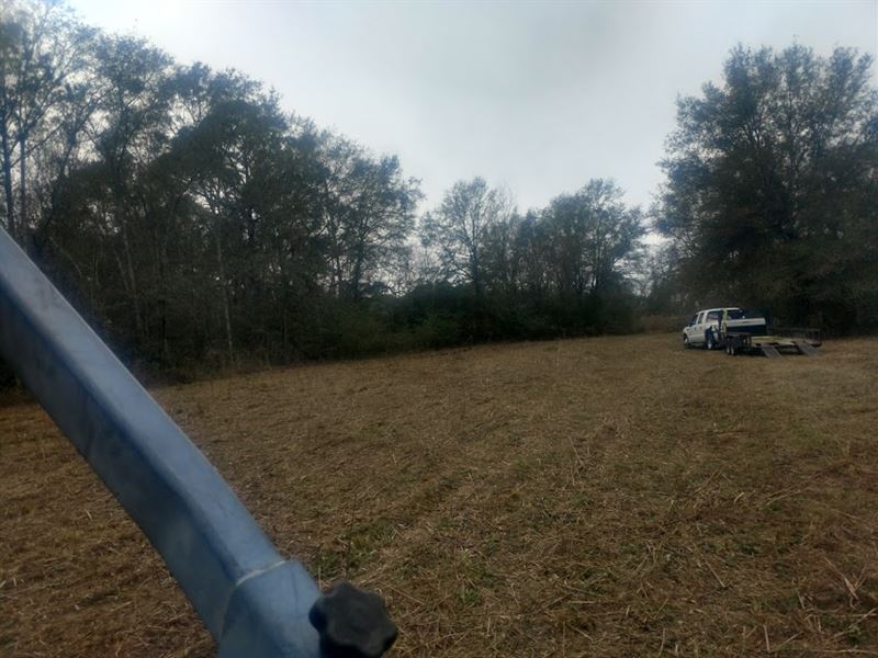 Absolute Estate Auction 44.43 +/- : Denton : Jeff Davis County : Georgia