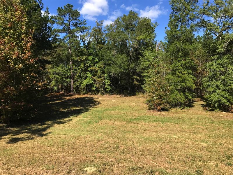 Aiken Tract : Crawfordville : Taliaferro County : Georgia