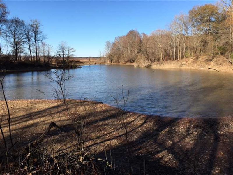 282 Acre Duck and Deer Hunting : Biscoe : Prairie County : Arkansas