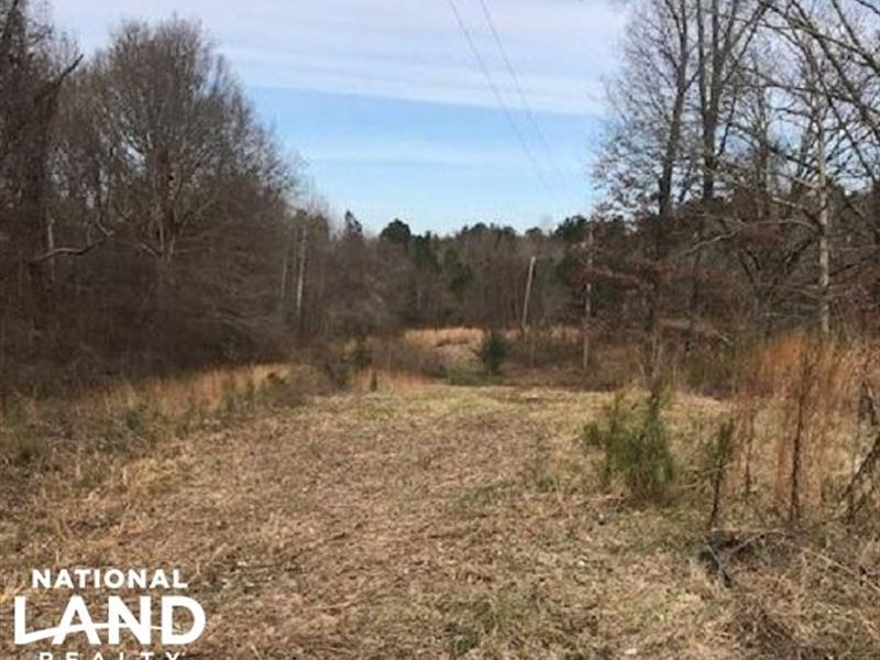 10-Acre Wooded Tract : Byhalia : Desoto County : Mississippi