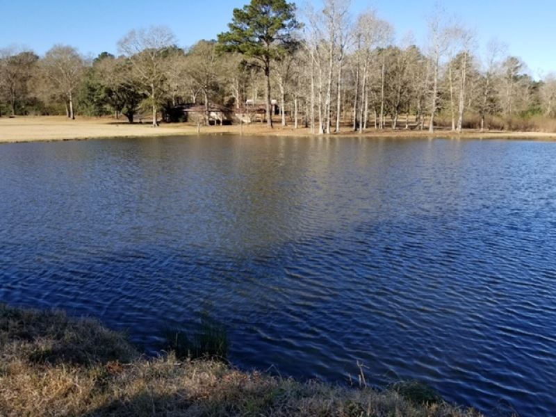 Rustic Home/Cabin and 49.09 Acres : McComb : Pike County : Mississippi