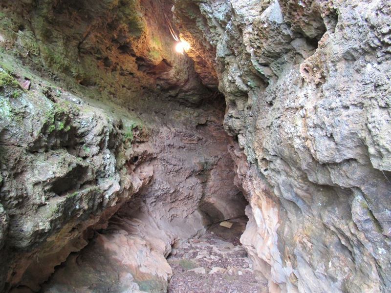 1-004 McCluney Cave : Trussville : Jefferson County : Alabama