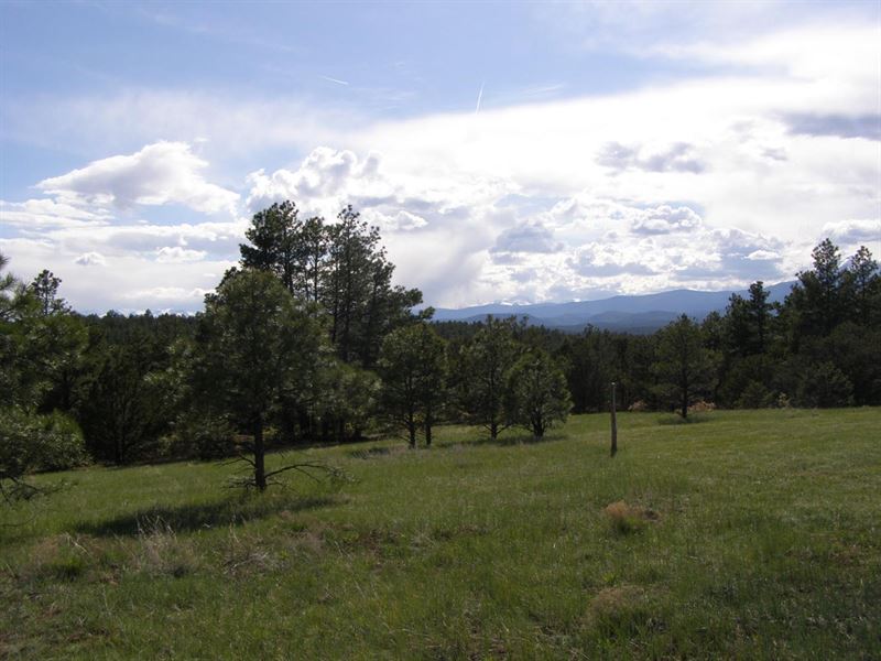 Apishapa River Ranch : Aguilar : Las Animas County : Colorado