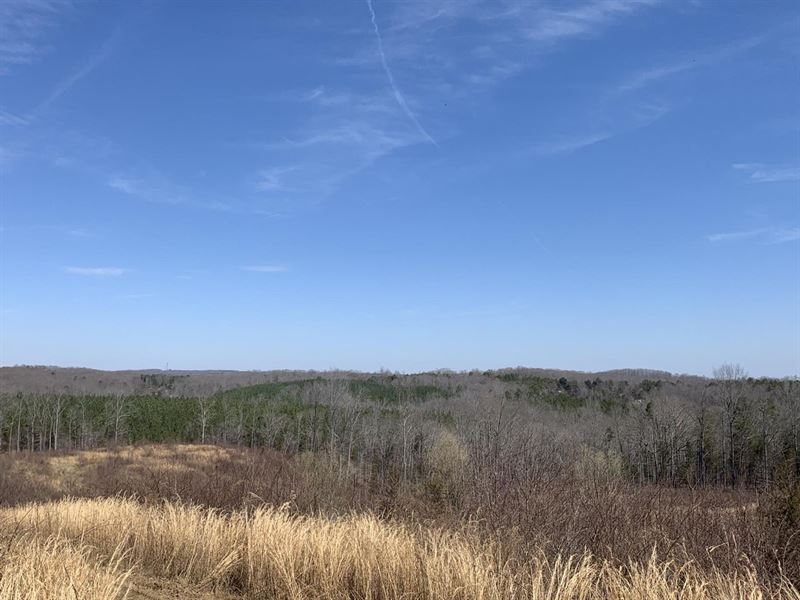 75 Acres Off Blackberry Rd, Thom : Thomasville : Davidson County : North Carolina
