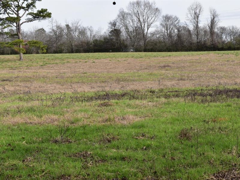 Wolf Creek Farm : Delight : Pike County : Arkansas