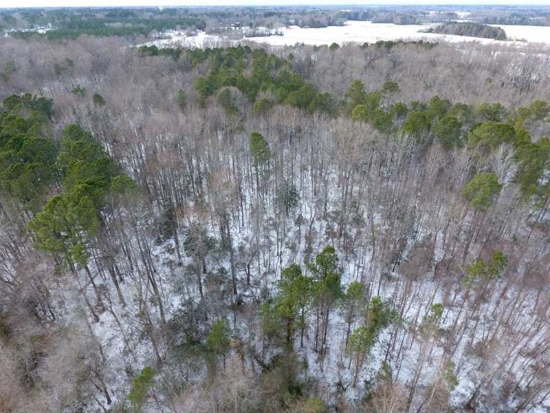 Under Contract, 26.89 Acres of Re : Pinetops : Edgecombe County : North Carolina