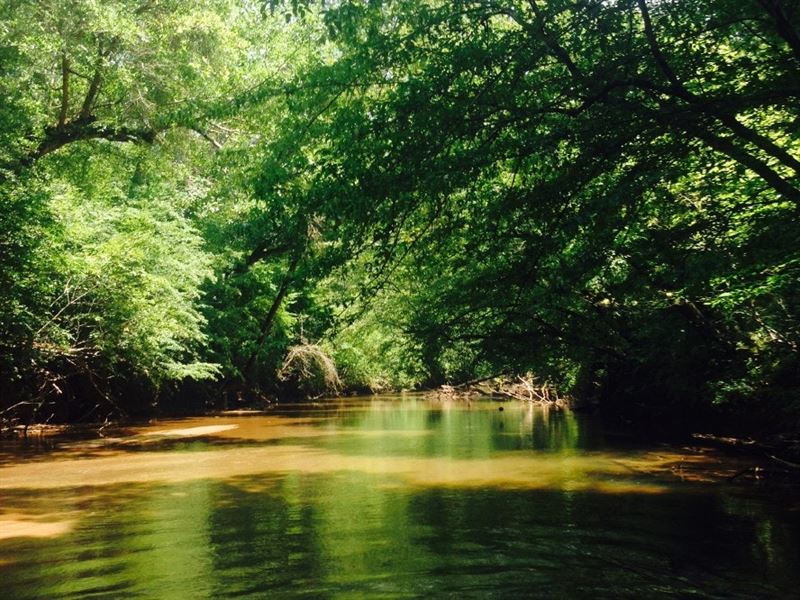 I-26 Tyger River Spartanburg Tract : Roebuck : Spartanburg County : South Carolina