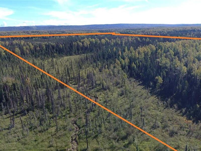 80 Acres, Hunting, Fishing, Dog Mu : Willow : Matanuska-Susitna Borough : Alaska