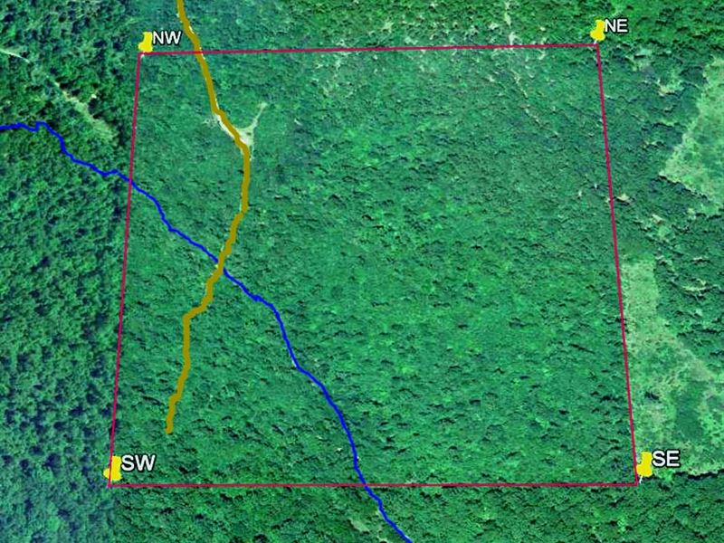 40 Acres with Easy Access, Clearing : Drury : Douglas County : Missouri