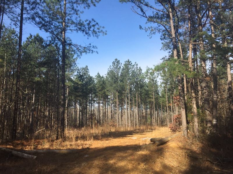 Dacus Road North : Middleton : Hardeman County : Tennessee