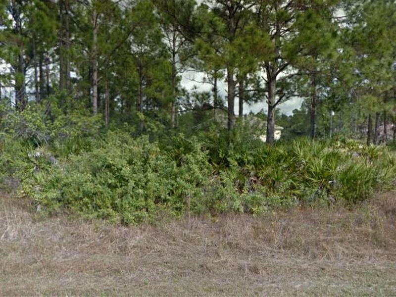 Lee County, Fl $30,000 Neg : Lehigh Acres : Lee County : Florida