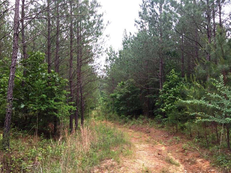 Center Ridge Road East : Milledgeville : McNairy County : Tennessee
